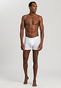 HANRO_B_M_CottonSuperior_ShortlegPants_073090_070101_060.jpg