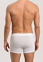 HANRO_B_M_NaturalFunction_Shortlegpants_073182_070101_045.jpg