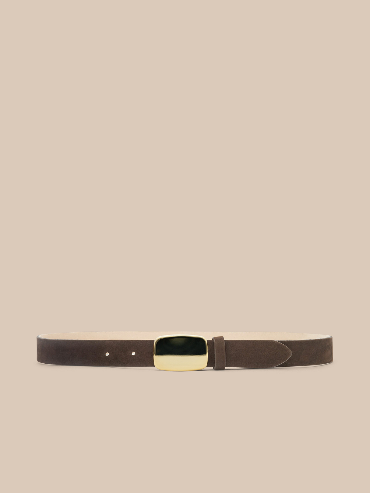 Amis Suede Belt in Cappuccino | L'AGENCE