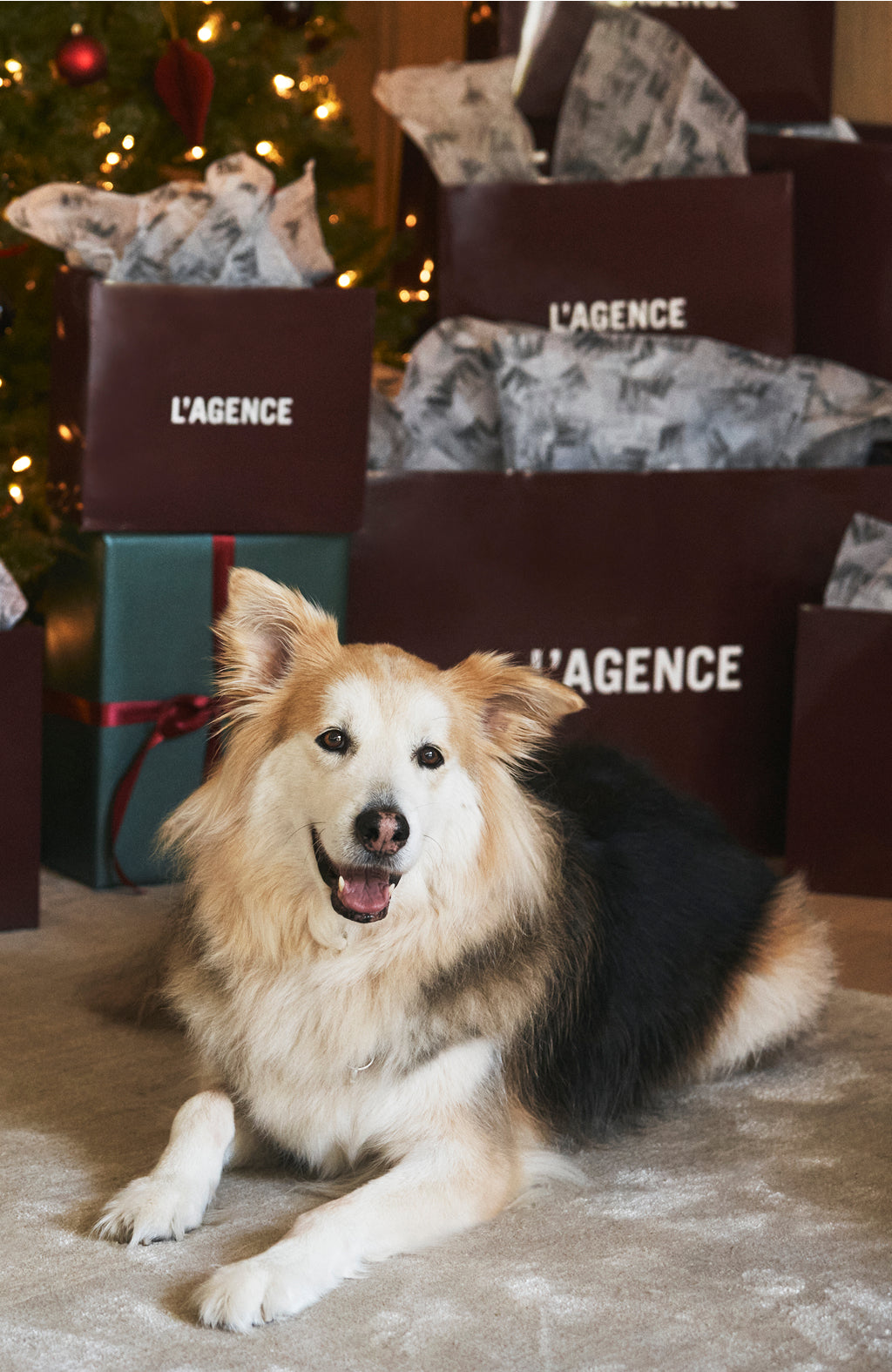 The Holiday Gift Guide