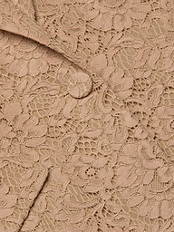 Close-up of the Chamberlain Lace Blazer in beige, showcasing intricate floral lace patterns and visible stitching that highlight the fabric’s texture and delicate details—perfect for achieving an office-ready style.