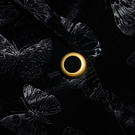 Close-up of the black fabric from the Chamberlain Velvet Blazer, showcasing shiny, textured butterfly patterns and a single gold metal eyelet in the center.