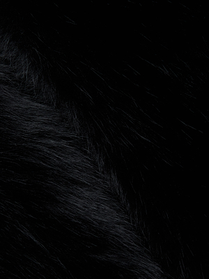A close-up of soft, shiny black fur with visible texture and subtle highlights evokes the luxurious finish of the Nathalia Faux Fur Cape by L'AGENCE, creating a rich and dramatic surface.