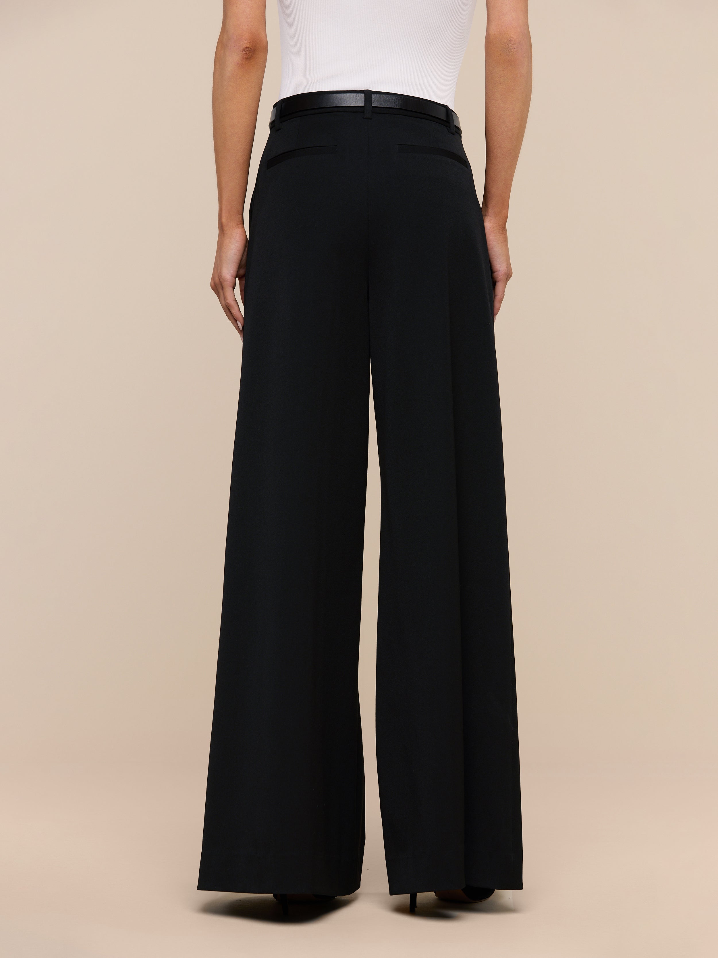 A person is shown from the back against a plain white background, wearing the Chelsy Wide-Leg Pant and a white top.