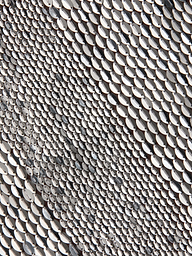 Close-up of the Dion Sequin Mini Skirt’s textured surface, covered in small, shiny silver sequins arranged in overlapping rows that create a reflective, wavy pattern reminiscent of hand-embroidery.