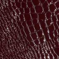 Close-up of the Violetta Vegan Leather Skirt, showcasing its shiny, burgundy croc-embossed texture with a pattern of irregular, reflective scales.