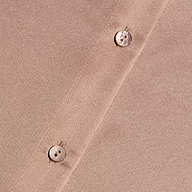 Close-up of a taupe L’AGENCE Tyler Silk Blouse featuring a vertical placket with two round, pearlescent buttons.