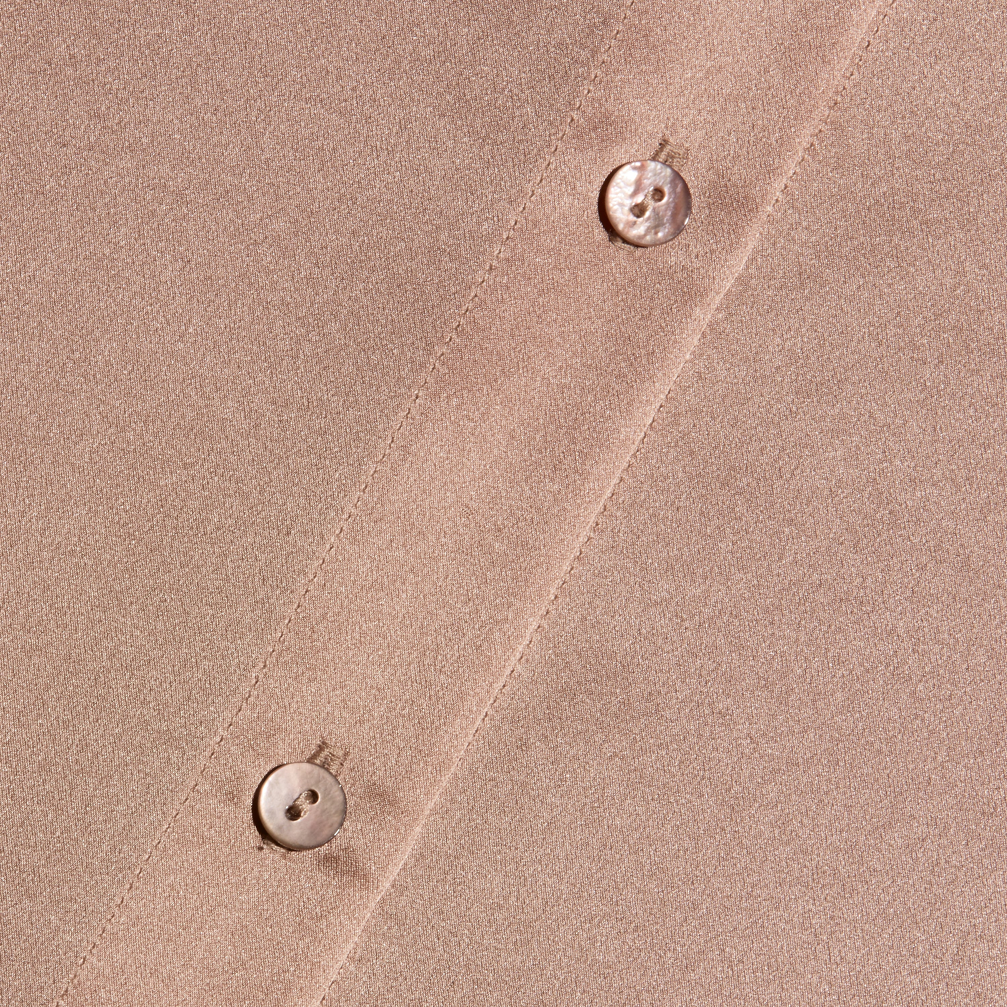 Close-up of a taupe L’AGENCE Tyler Silk Blouse featuring a vertical placket with two round, pearlescent buttons.