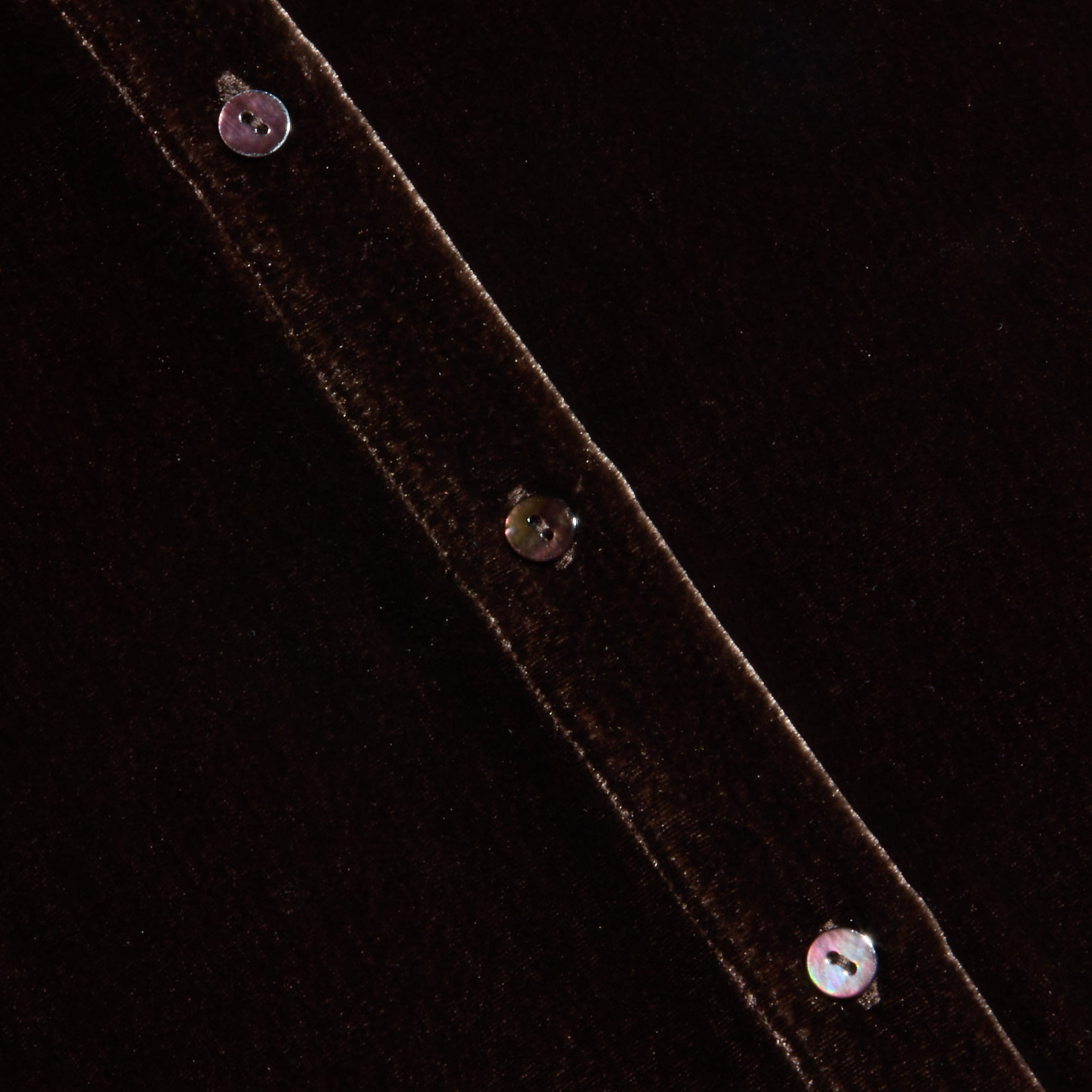 Close-up of the Argo Velvet Blouse in dark java brown, featuring a diagonal seam adorned with shiny buttons that catch and reflect the light.