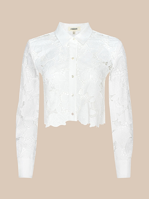 The Seychelle Cropped Eyelet Blouse features an ivory floral eyelet design, collared neckline, button-down front, cropped cut, and scalloped hem, shown against a beige background.