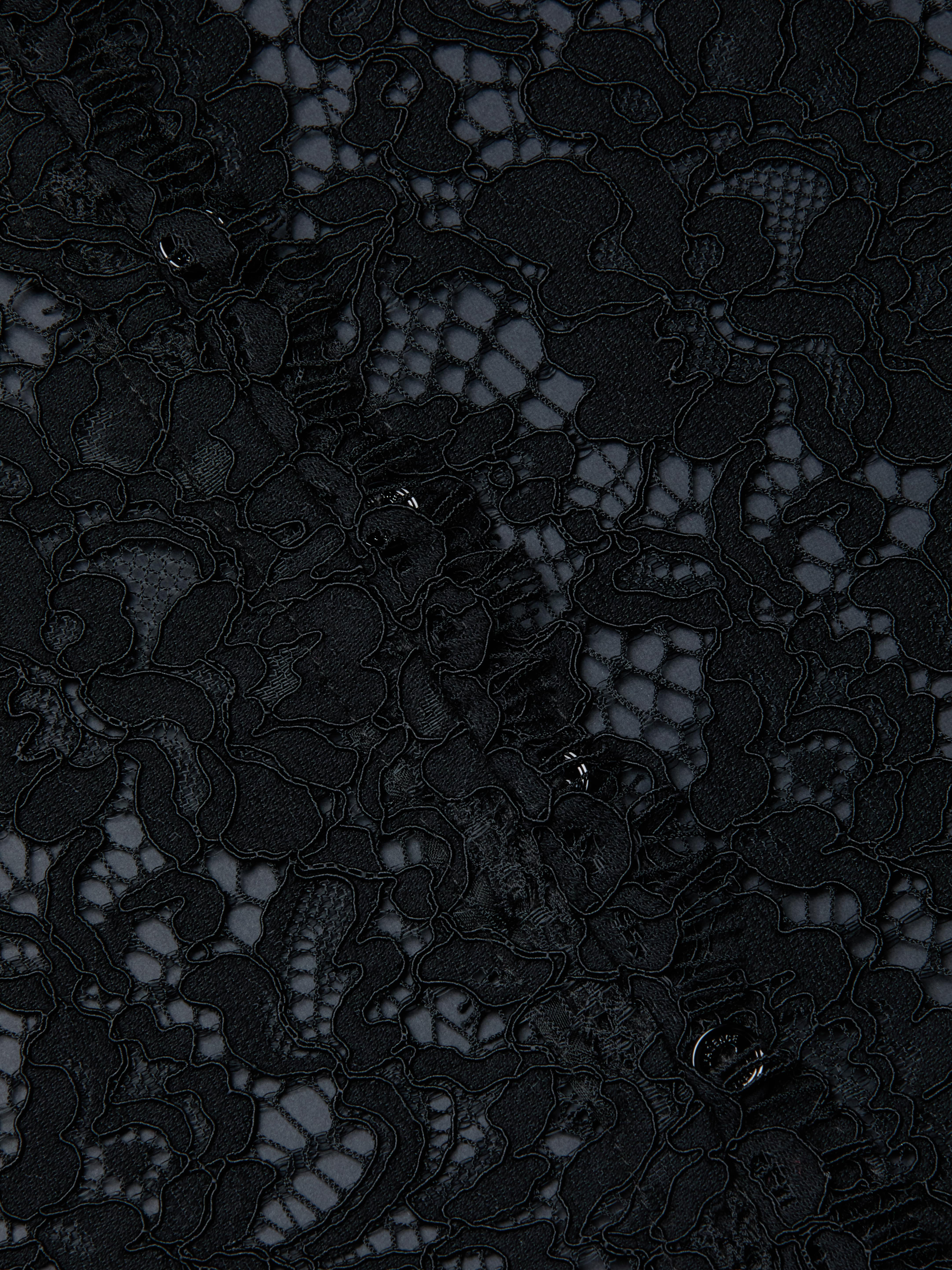 Close-up of the Anita Lace Blouse’s intricate black lace fabric, featuring a delicate floral pattern, detailed stitching, and mesh accents, with a scalloped hem and a subtly sheer background.