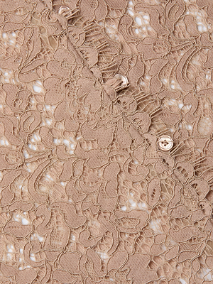 Close-up of beige lace fabric with an intricate floral pattern, featuring delicate embroidery and a few small round buttons. The texture showcases raised stitching and semi-transparent areas.