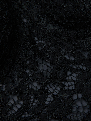 Close-up of the intricate floral lace on the Raquel Lace Bustier by L'AGENCE, revealing delicate embroidery and semi-sheer details. The fabric is textured, elegant, and has a slightly glossy finish.