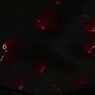 Eddie Satin Tank, a bias-cut satin tank in black fabric patterned with dark red cherries.