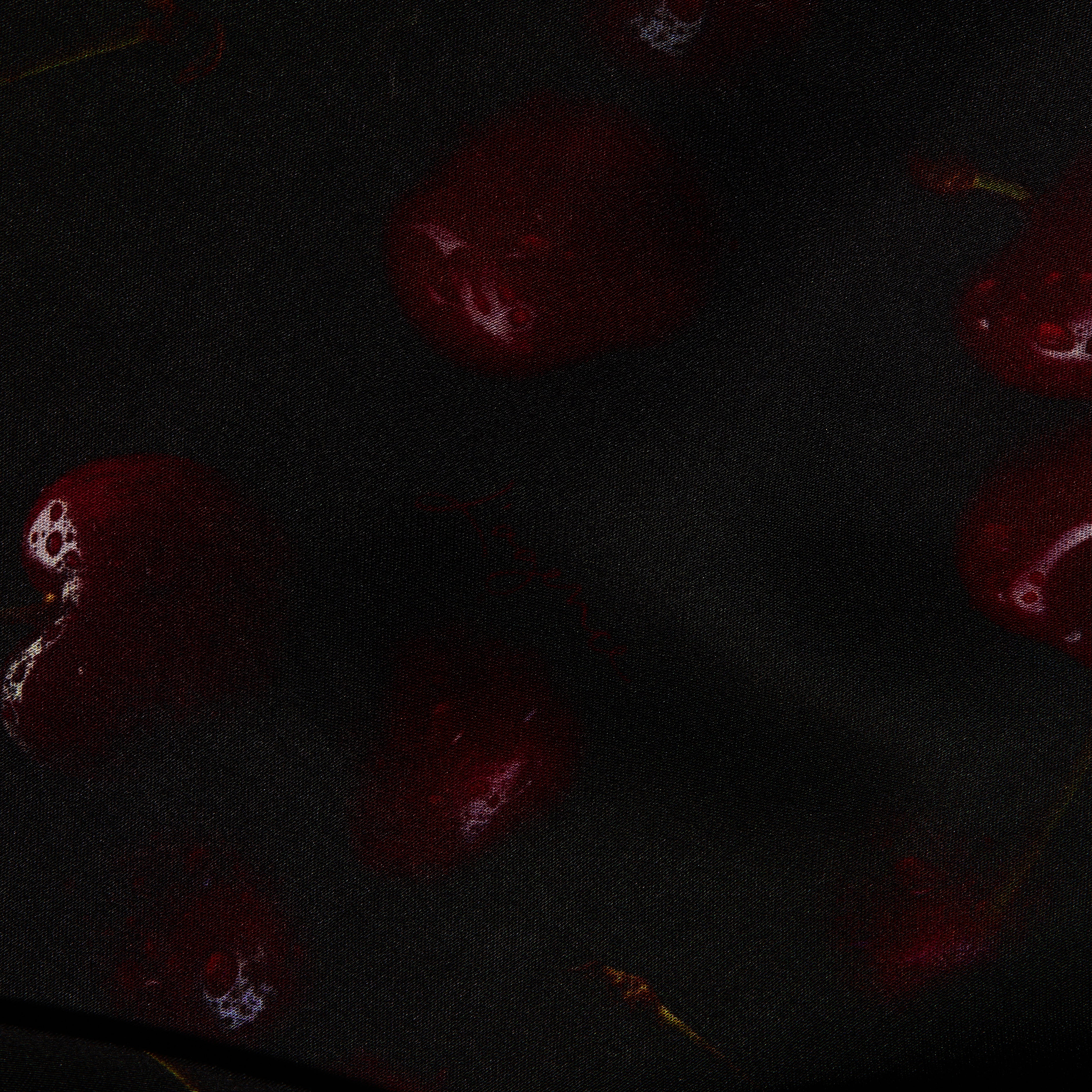 Eddie Satin Tank, a bias-cut satin tank in black fabric patterned with dark red cherries.