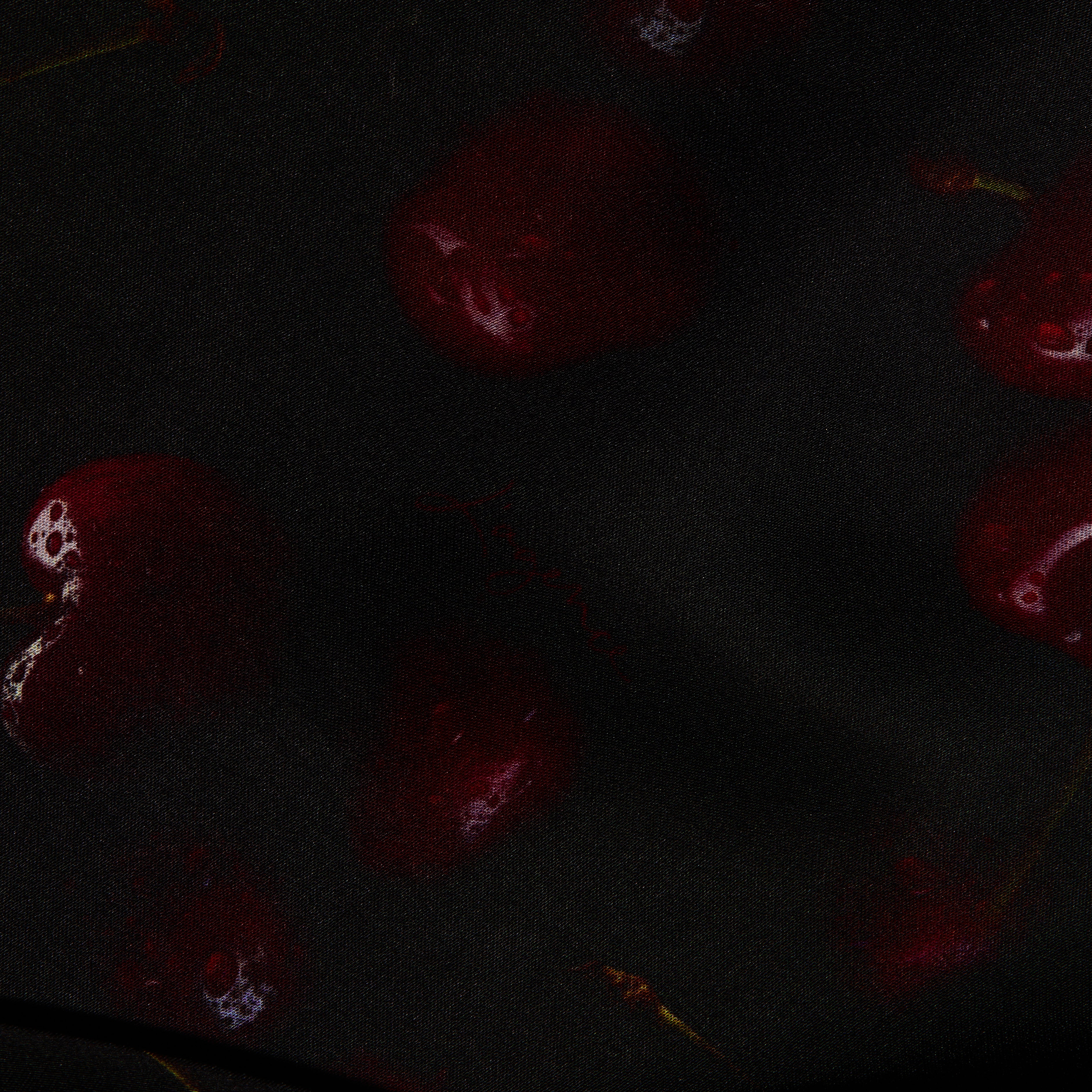 Eddie Satin Tank, a bias-cut satin tank in black fabric patterned with dark red cherries.