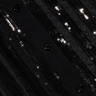 Close-up of the Dyana Sequin Blouse in black, showcasing shiny sequins and parallel vertical seams, with sheer stripes and evenly spaced black buttons along one seam.