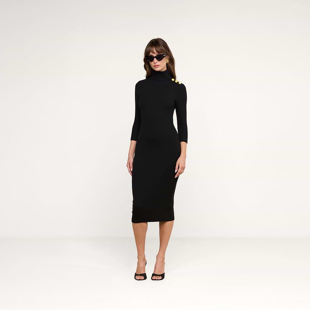 Voletta Turtleneck Knit Dress