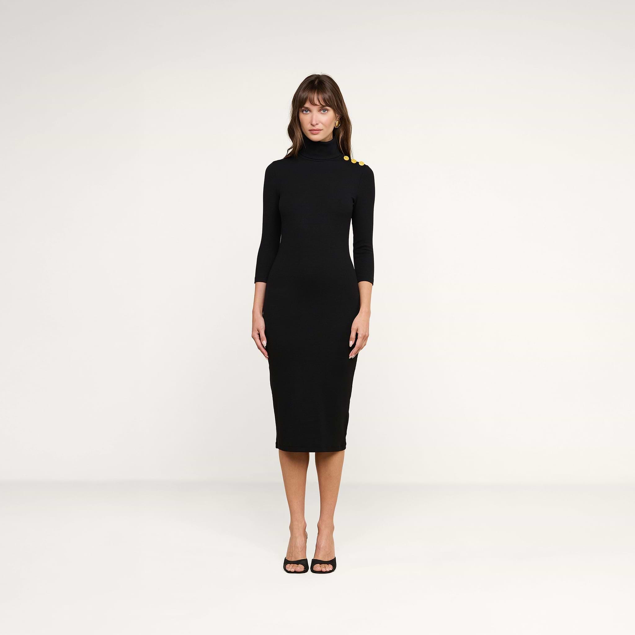 Voletta Turtleneck Knit Dress in Black