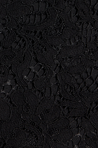 Close-up of intricate black lace fabric with a floral and leaf pattern, showcasing delicate mesh and textured embroidery throughout—as featured on the Sutton Lace Maxi Dress.