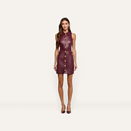 Apolline Vegan Leather Dress in burgundy, featuring a sleeveless, knee-length silhouette, a collar, and a gold hardware button-front closure.