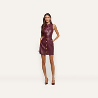 A woman wearing a sleeveless, burgundy Apolline Vegan Leather Dress with a collar and gold hardware, paired with matching pointed-toe pumps.