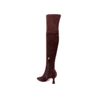 The Clarin Over-the-Knee Boot is a single dark brown suede boot featuring a pointed toe, side zipper, and a mid-height flared heel, shown against a plain white background.