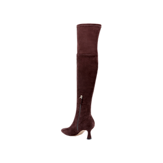 The Clarin Over-the-Knee Boot is a single dark brown suede boot featuring a pointed toe, side zipper, and a mid-height flared heel, shown against a plain white background.