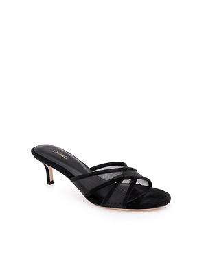 The Padua Mesh Sandal is a black heeled mule with thin crisscross straps, open toe, kitten heel, leather lining, and cushioned insole, shown against a plain white background.