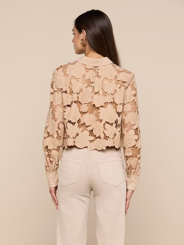 A person with long brown hair is shown from behind, wearing the Seychelle Cropped Eyelet Blouse—beige with floral patterns—and high-waisted beige pants against a plain light background.