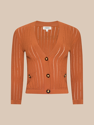 The Irvin Pointelle Knit Cardigan features a burnt orange hue, long sleeves, vertical openwork stripes, a V-neckline, three large brown buttons, and two front pockets—a perfect lightweight transitional layer.