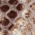 Close-up image of a honeycomb pattern with hexagonal cells, some dark brown and some light tan, resembling a natural, textured surface.