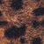 Close-up of a leopard print pattern featuring irregular black spots on a background of brown and tan fur-like texture.