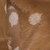 Brown fur with white spots.