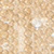 Close-up view of a textured surface featuring small, round, pale beige objects tightly packed together, resembling a honeycomb or cluster of beads.