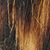 Rough, vertical texture of brown tree bark.