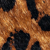 Close-up of a leopard print pattern, showing orange-brown fur with irregular black spots.