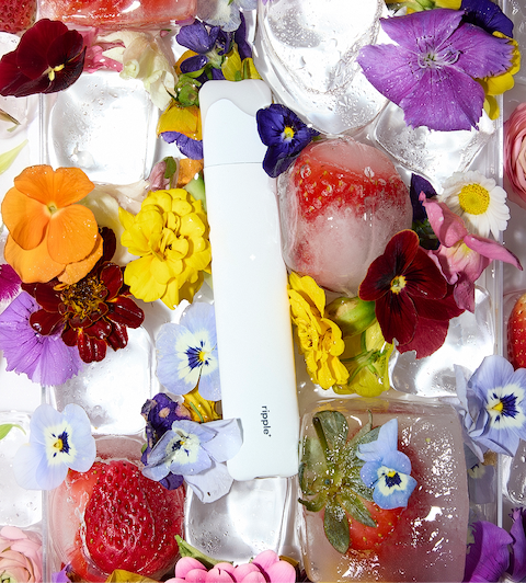 Plant-powered aromas,