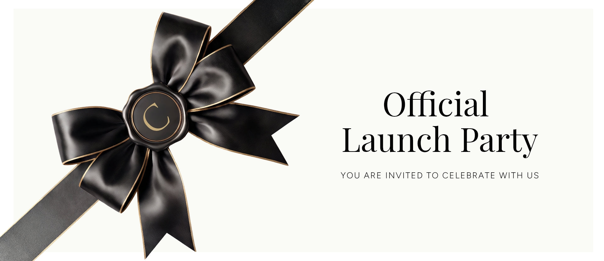Wellesley Official Launch Party