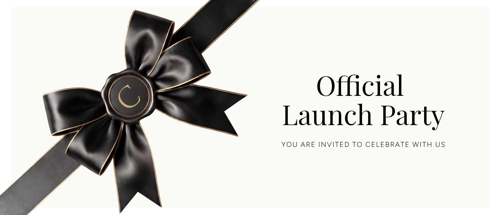 Wellesley Official Launch Party