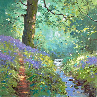 River Creek And Stream