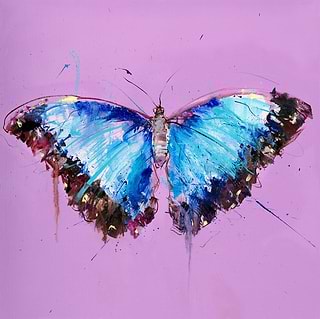 Butterflies