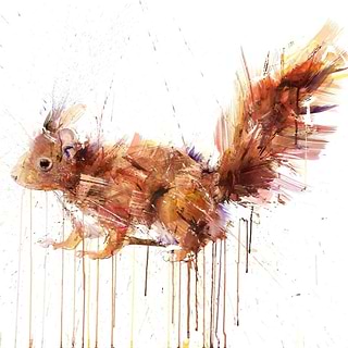 Wildlife