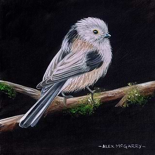 Birds