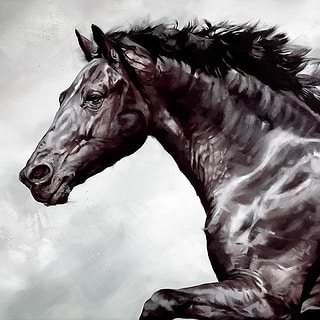 Horses