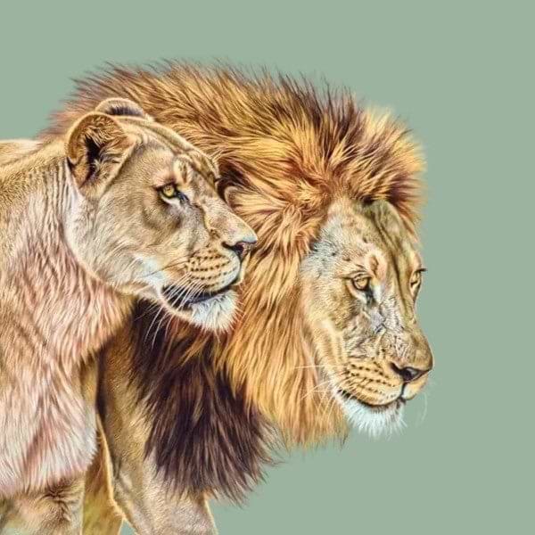 Buy Lion Art - Original Paintings & Limited Editions – Clarendon