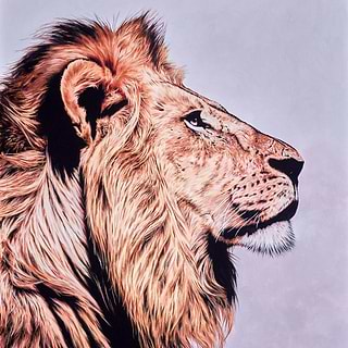Lions
