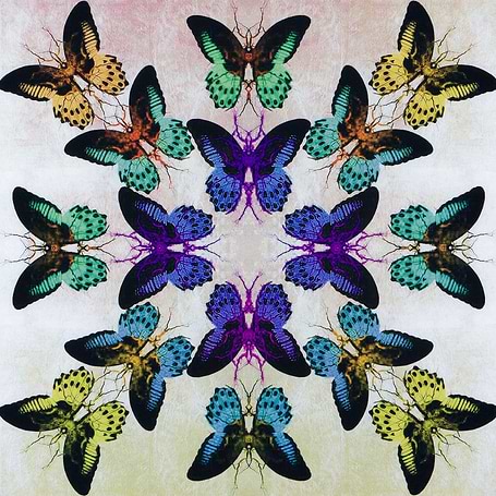 Maxim Artwork
