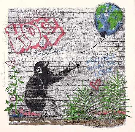 Mr Brainwash