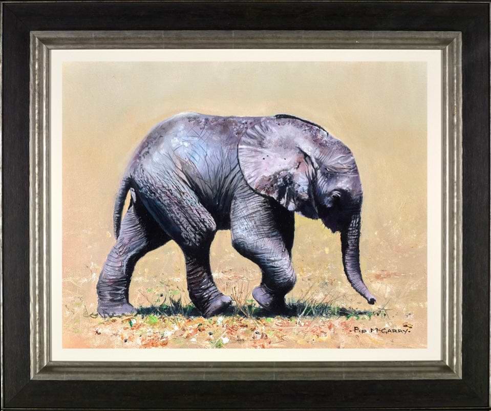 Elephant Baby
